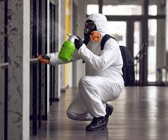 Best Mold Remediation for Rental Properties  in USA